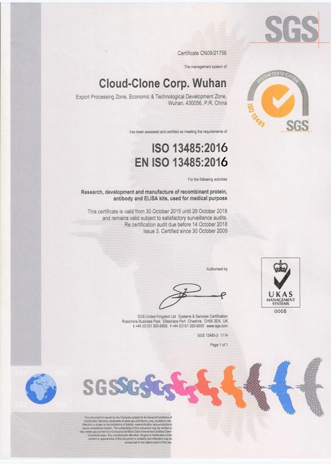 ISO13485医疗器械-质量管理体系认证证书样本0